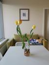 Apartamento Cozy Studio Tower