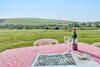Agroturismo Jack's Place