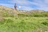 Agroturismo Jack's Place