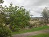 Bed & Breakfast Maitland Meander