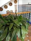 Hotel Venta Las Delicias