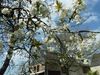 Bed & Breakfast Les Bruy�res Du Mont