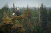 Apartamento Eagle's Eye Vacation Rentals