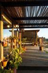 Punta De Lobos House