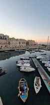 Hotel Mediterraneo