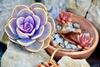 Bed & Breakfast Casa Cerqua Landi