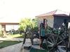 Hostal Faralya Yoruk Evi Hotel