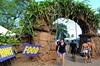 Agroturismo Kalani Hawaii Private Lodging