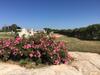 Masseria Gelsi B&B And Events