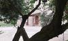 Bed & Breakfast Aia Antica