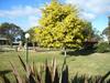 Bairnsdale Main Motel