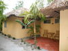 Hotel Thuy - Gunter Garden Bungalow