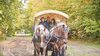 Hotel Campanile Compiegne