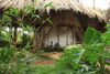 Saraya Art Cafe Bed And Breakfast