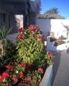 Aparthotel Ionio Star Hotel