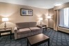 Hotel Quality Inn & Suites