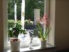 Bed & Breakfast Apado-hotel Garni