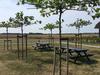 Modern Holiday Home In Cadzand With Beach Nearby