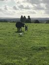 Rew Farm Country & Equestrian Accommodation