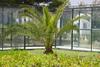 Sandra Club - Family Hotel