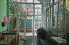 Hostal Green House Guesthouse