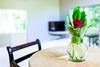 Apartamento Condo Hotel El Vivero Tulum