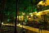 Apartamento Condo Hotel El Vivero Tulum
