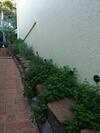 Albergue Reef Lodge Backpackers