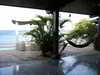 Hotel Settlers Beach