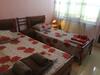 Albergue Alex's Cosy Guesthouse