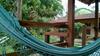 Hostal Pousada Canteiros