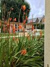 Hotel H�tel Les Agapanthes