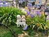 Hotel H�tel Les Agapanthes