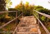 Lodge Miramonte
