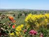 Agroturismo Agriturismo Montigliano