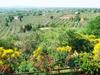 Agroturismo Agriturismo Montigliano