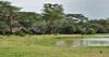 Lodge Sweetwaters Serena Camp