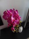 Apartamento Felicia Resort