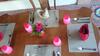 Bed & Breakfast Kavirose Holiday Home