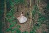 Lodge Whispering Pines Country Estate