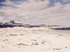 Hostal Wytonia Beachfront Accommodation