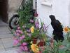 Apartamento Ferienwohnung Backstube K�nig