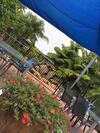 Hotel Cardwell At The Beach
