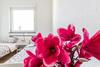 Apartments Bruchk�bel