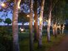 Agroturismo De Slaaphoeve