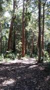 Elebanah Luxury Camping