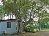 Lismore Lake Holiday Park