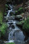 Rocky Creek Art Garden B&B