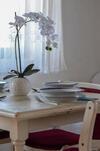 Apartments Skoko