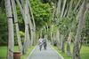 Hotel Villa Park Sun Island Resort